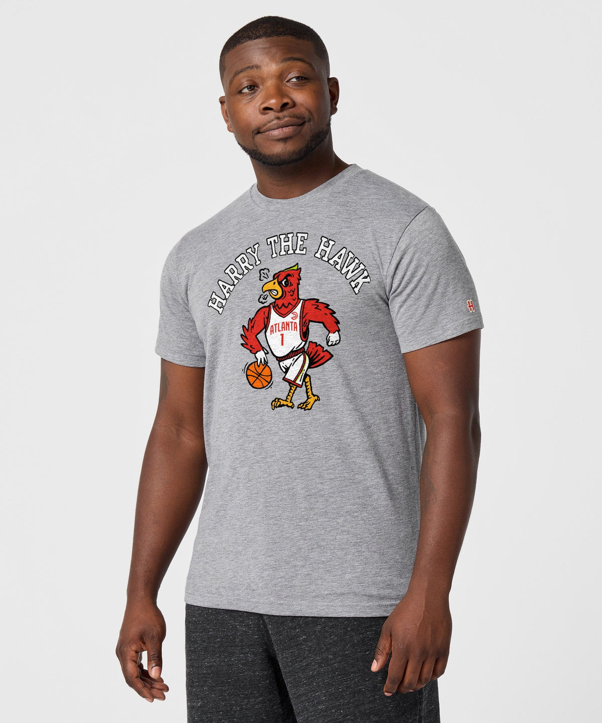 Atlanta Hawks Harry The Hawk product image 3