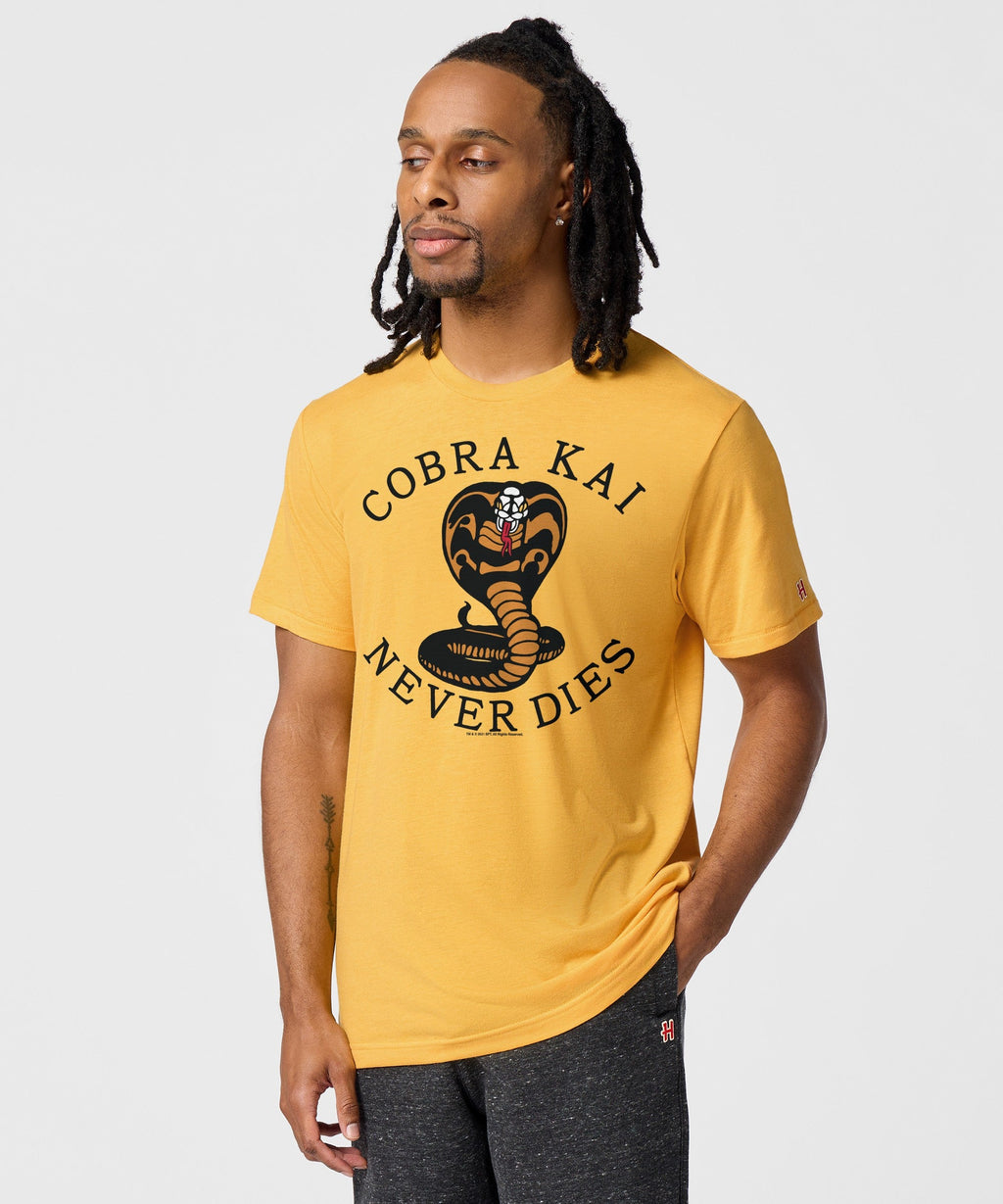 Cobra Kai Never Dies product image 3