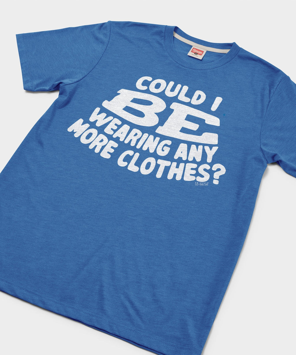 Could I BE Wearing Any More Clothes? product image 2