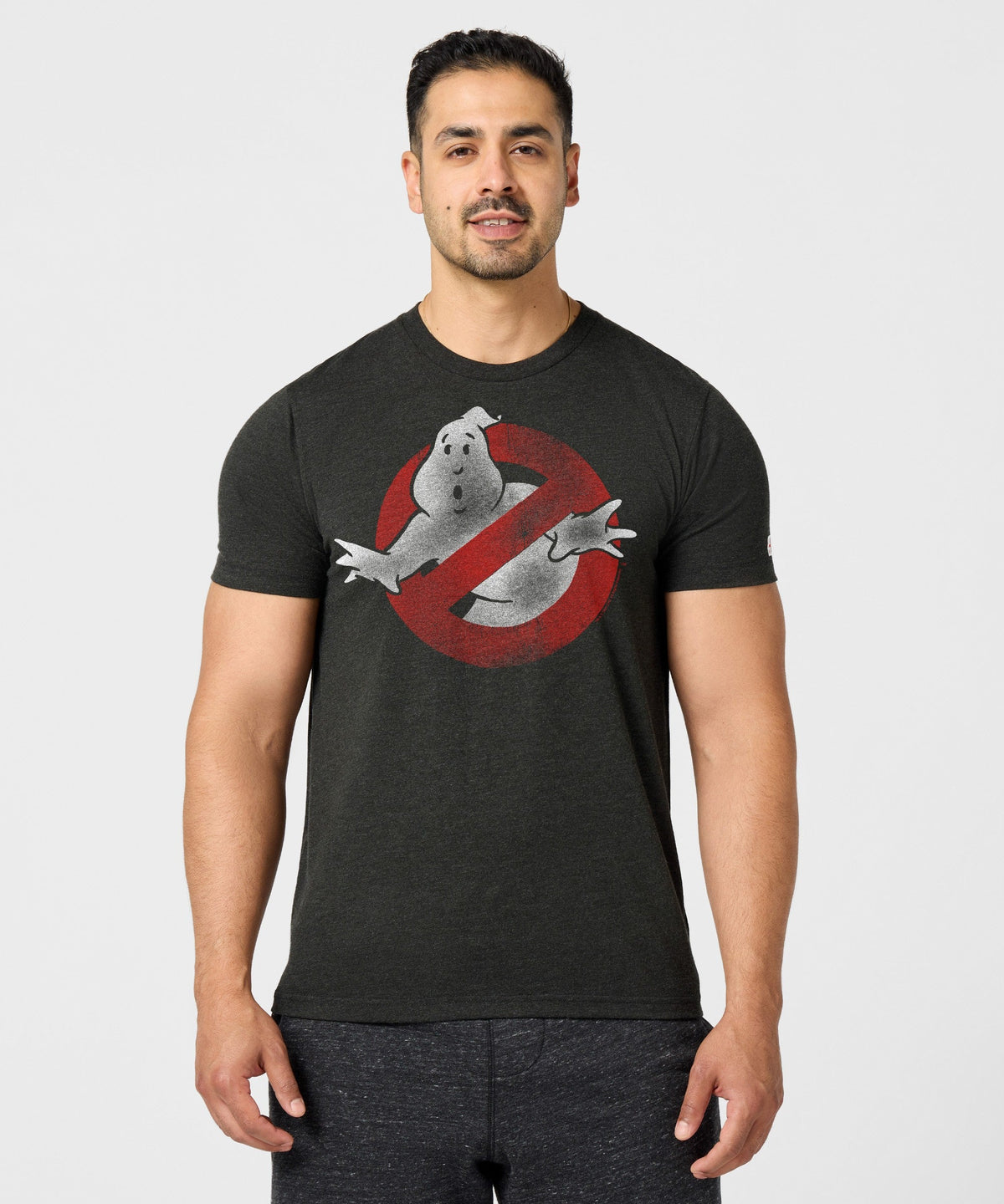 Ghostbusters Logo product image 3