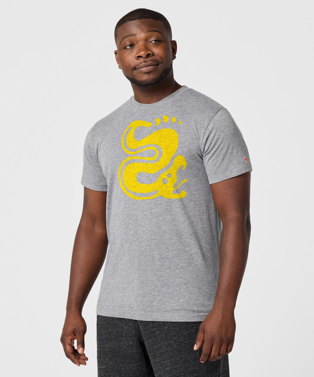Hidden Temple Silver Snakes product image 3