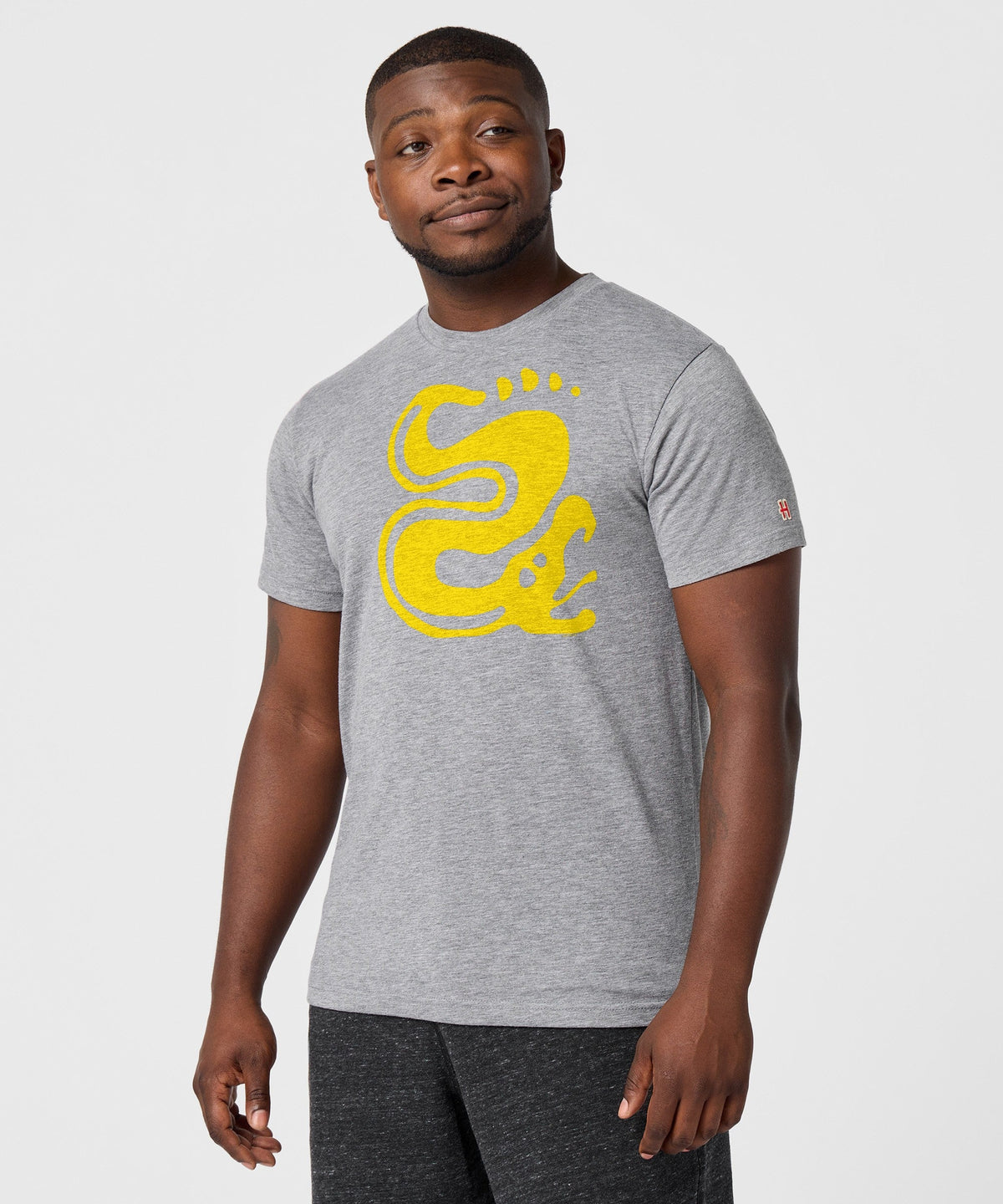 Hidden Temple Silver Snakes product image 3