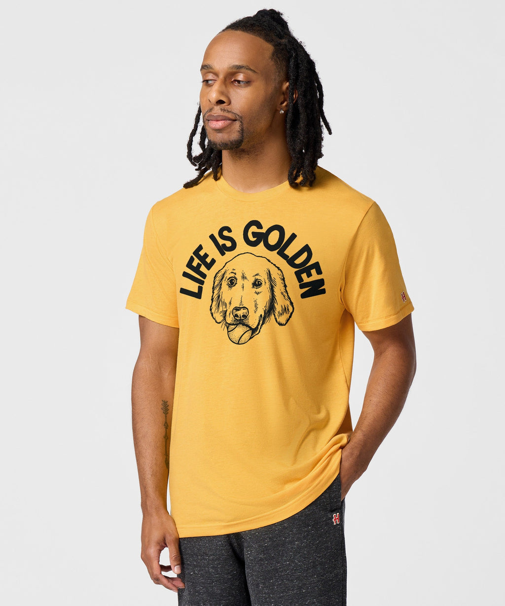 Life Is Golden product image 3