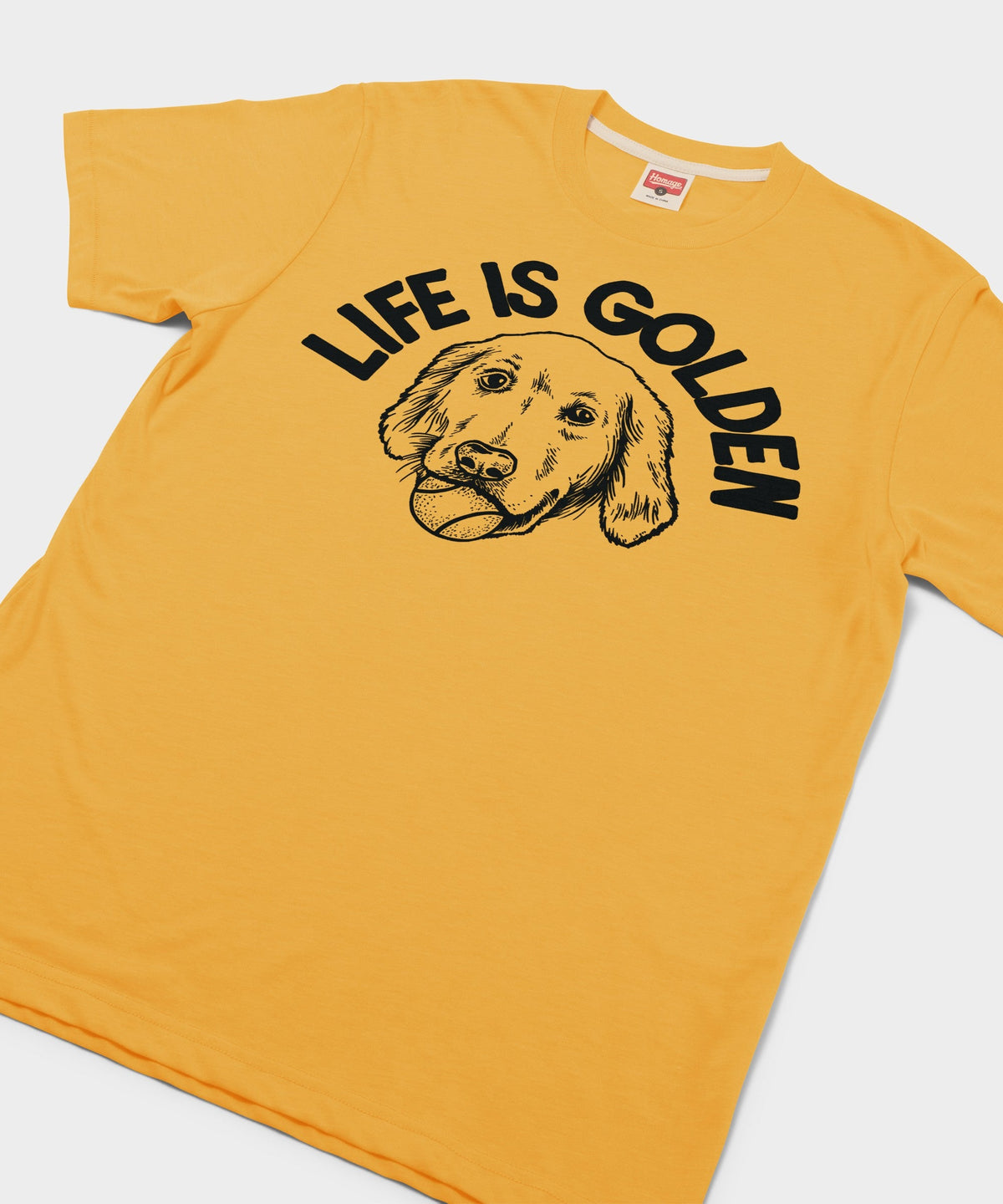 Life Is Golden product image 2