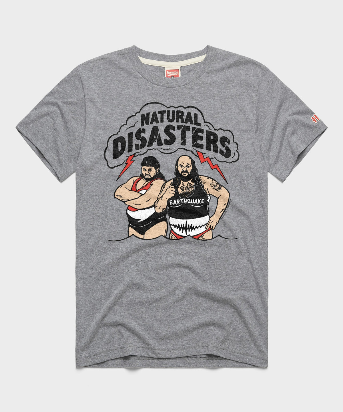 Natural Disasters Tag Team product image 1