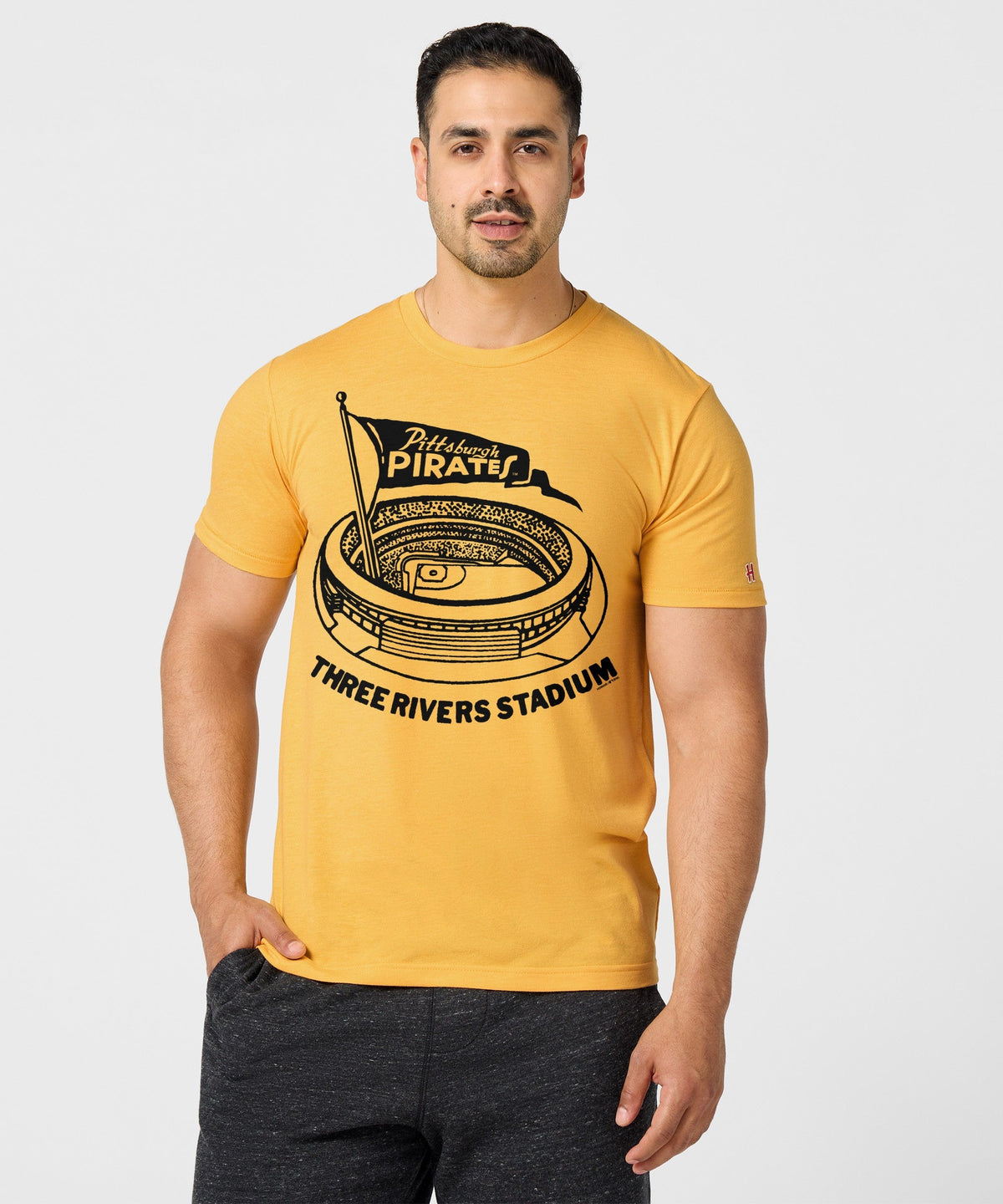 Pittsburgh Pirates Three Rivers Stadium product image 3