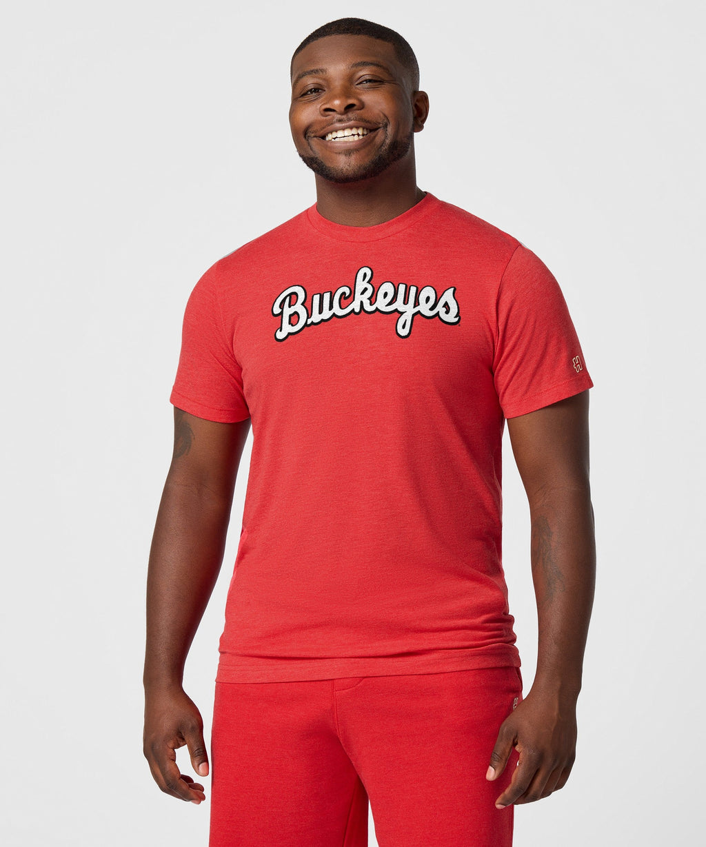 Script Buckeyes product image 3