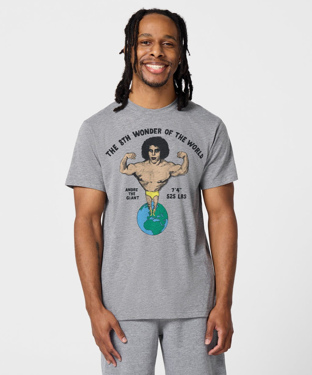 The 8th Wonder Of World product image 3