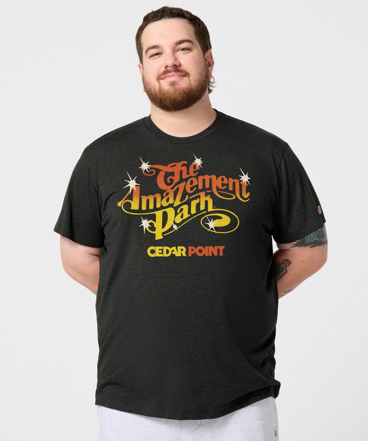The Amazement Park product image 3