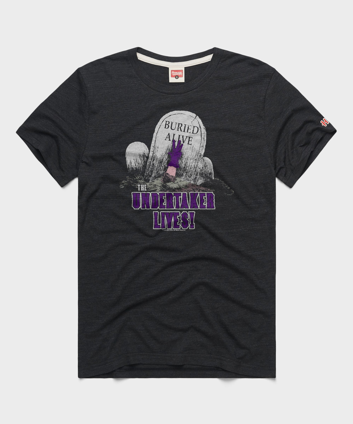 The Undertaker Lives product image 1
