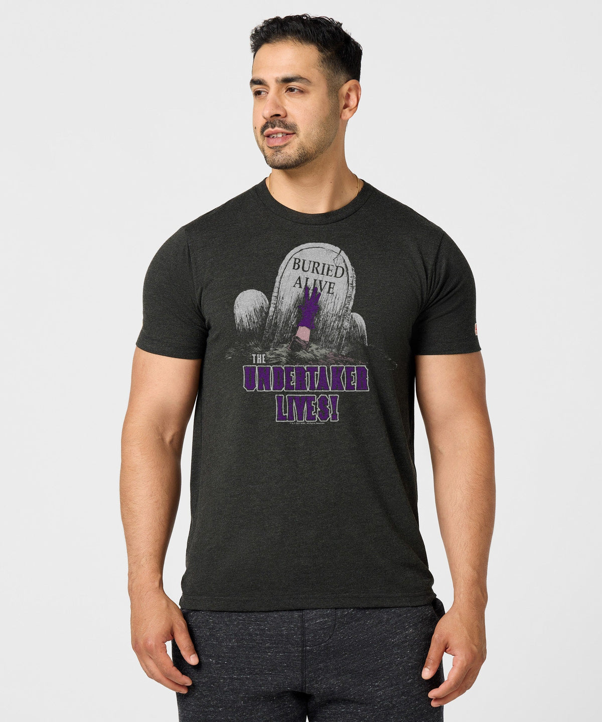 The Undertaker Lives product image 3