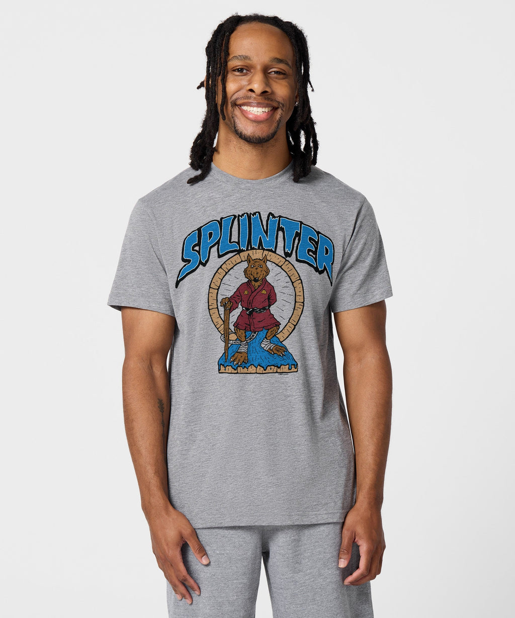 TMNT Splinter product image 3