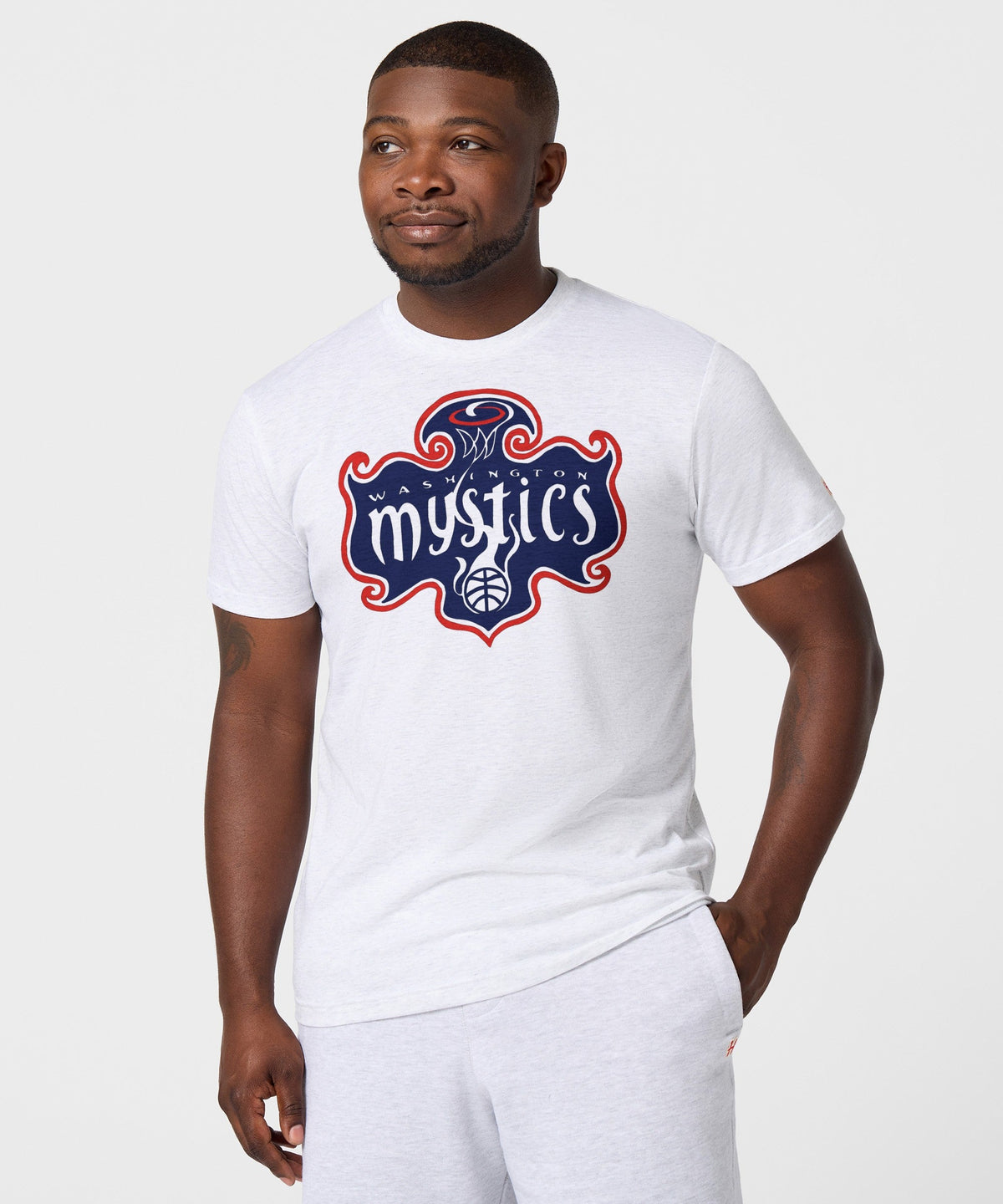 Washington Mystics Logo product image 3